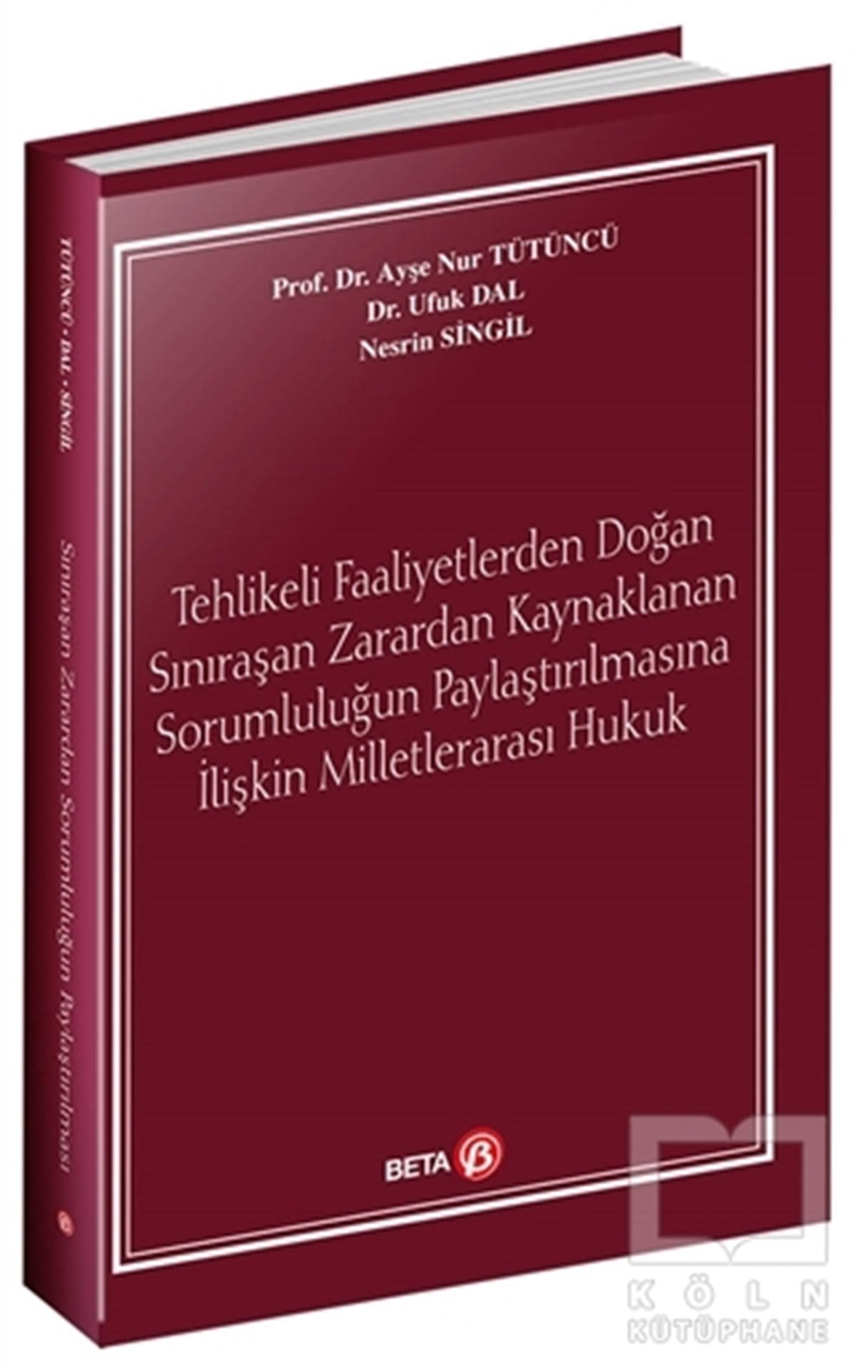 Ayşe Nur TütüncüHukuk Üzerine KitaplarTehlikeli Faaliyetlerden Doğan Sınıraşan Zarardan Kaynaklanan Sorumluluğun Paylaştırılmasına İlişkin Milletlerarası Hukuk
