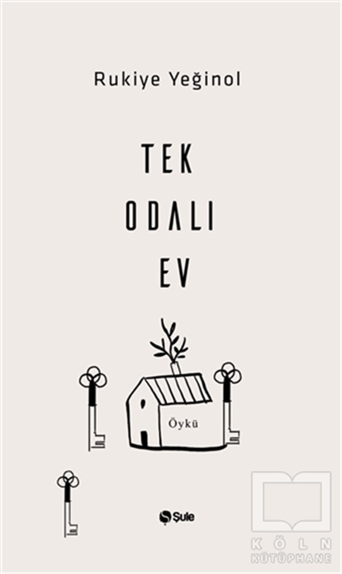 Rukiye YeğinolHikaye (Öykü) KitaplarıTek Odalı Ev