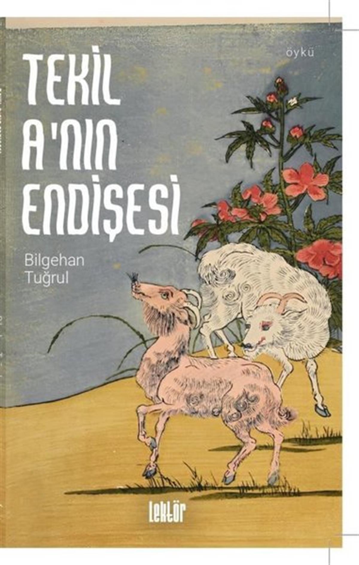 Bilgehan TuğrulHikaye (Öykü) KitaplarıTekil A'nın Endişesi