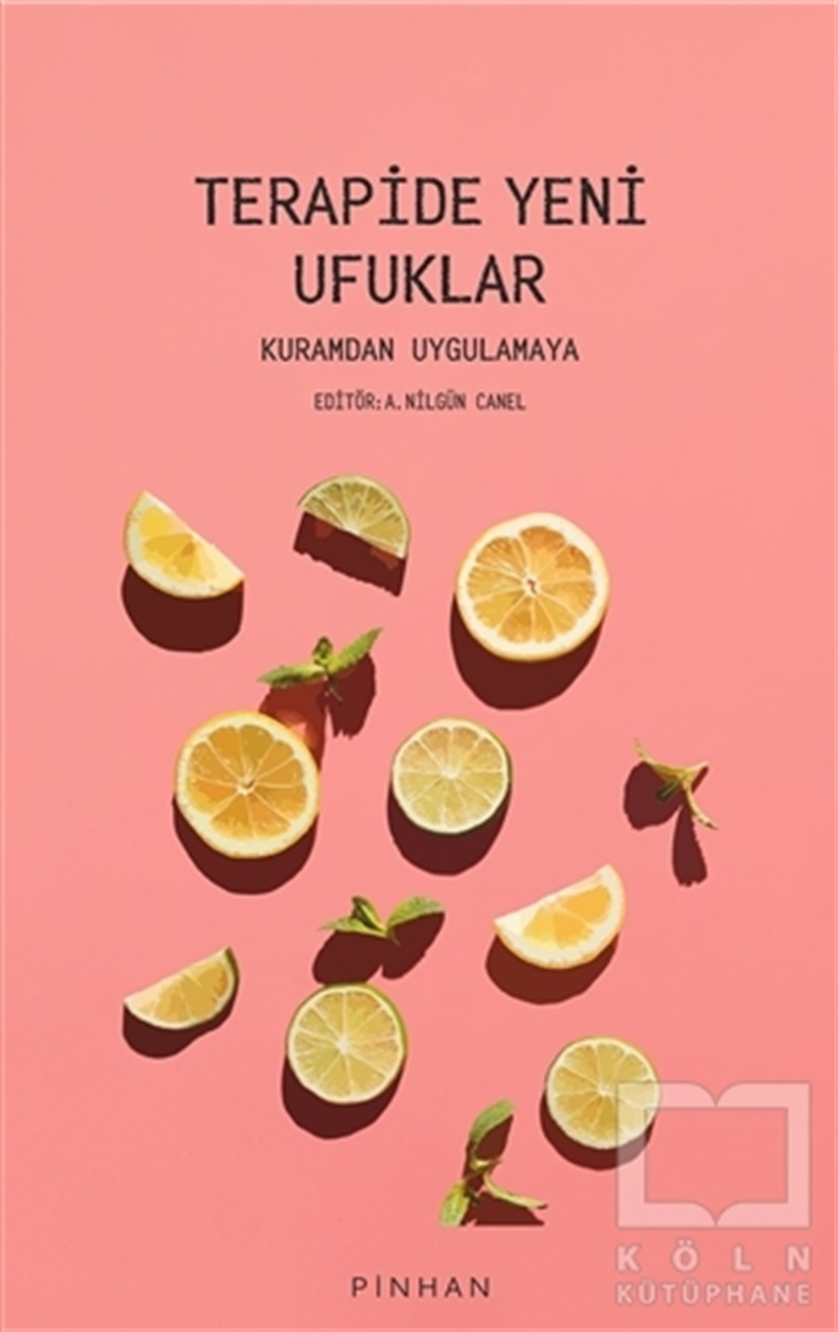 Nilgün CanelGelişim Psikolojisi KitaplarıTerapide Yeni Ufuklar