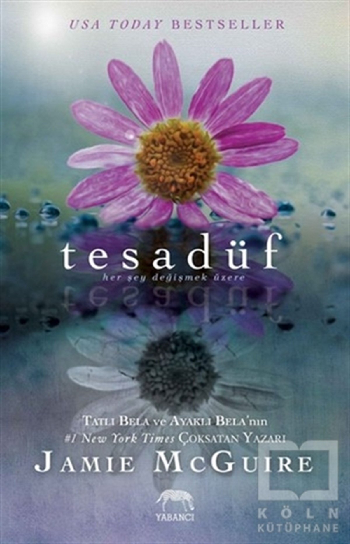 Jamie McGuireAşkTesadüf