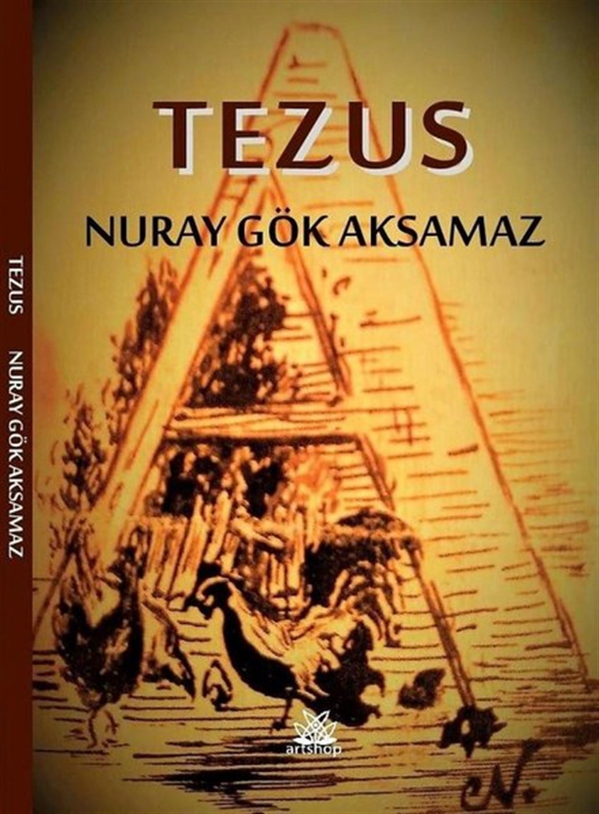 Nuray Gök AksamazTürkiye RomanTezus