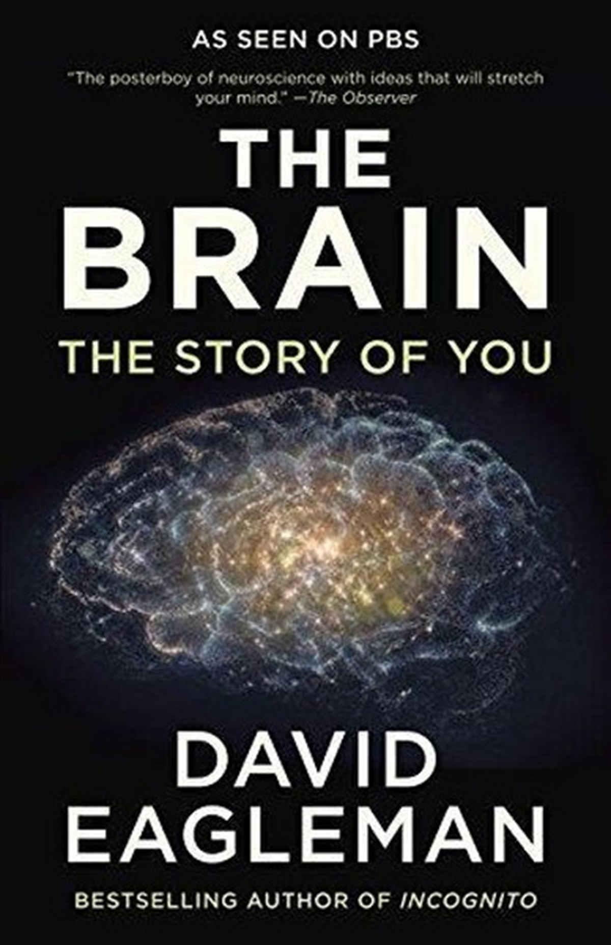 David EaglemanScienceThe Brain: The Story of You