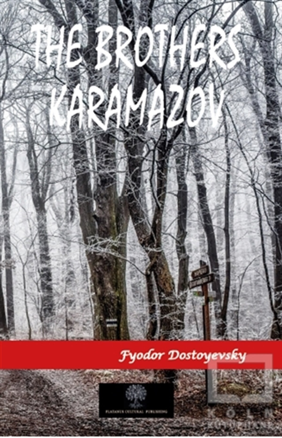 Fyodor Mikhaylovich DostoyevskyTürkçe RomanlarThe Brothers Karamazov