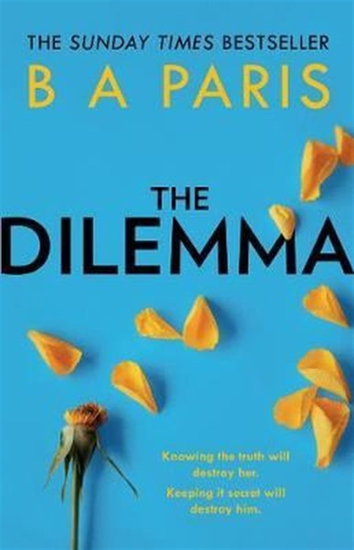 B A ParisMystery/Crime/ThrillerThe Dilemma: The Sunday Times top ten bestseller - a thrilling psychological suspense book from mill