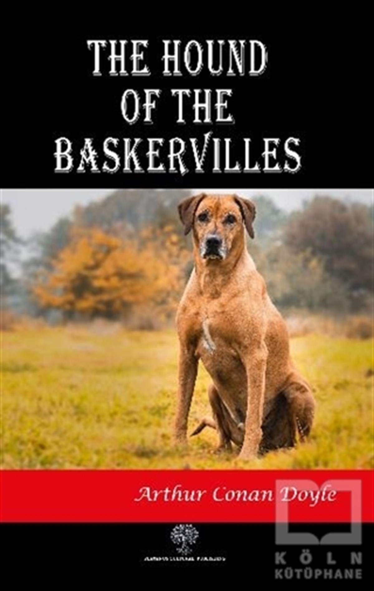 Sir Arthur Conan DoyleTürkçe RomanlarThe Hound of the Baskervilles