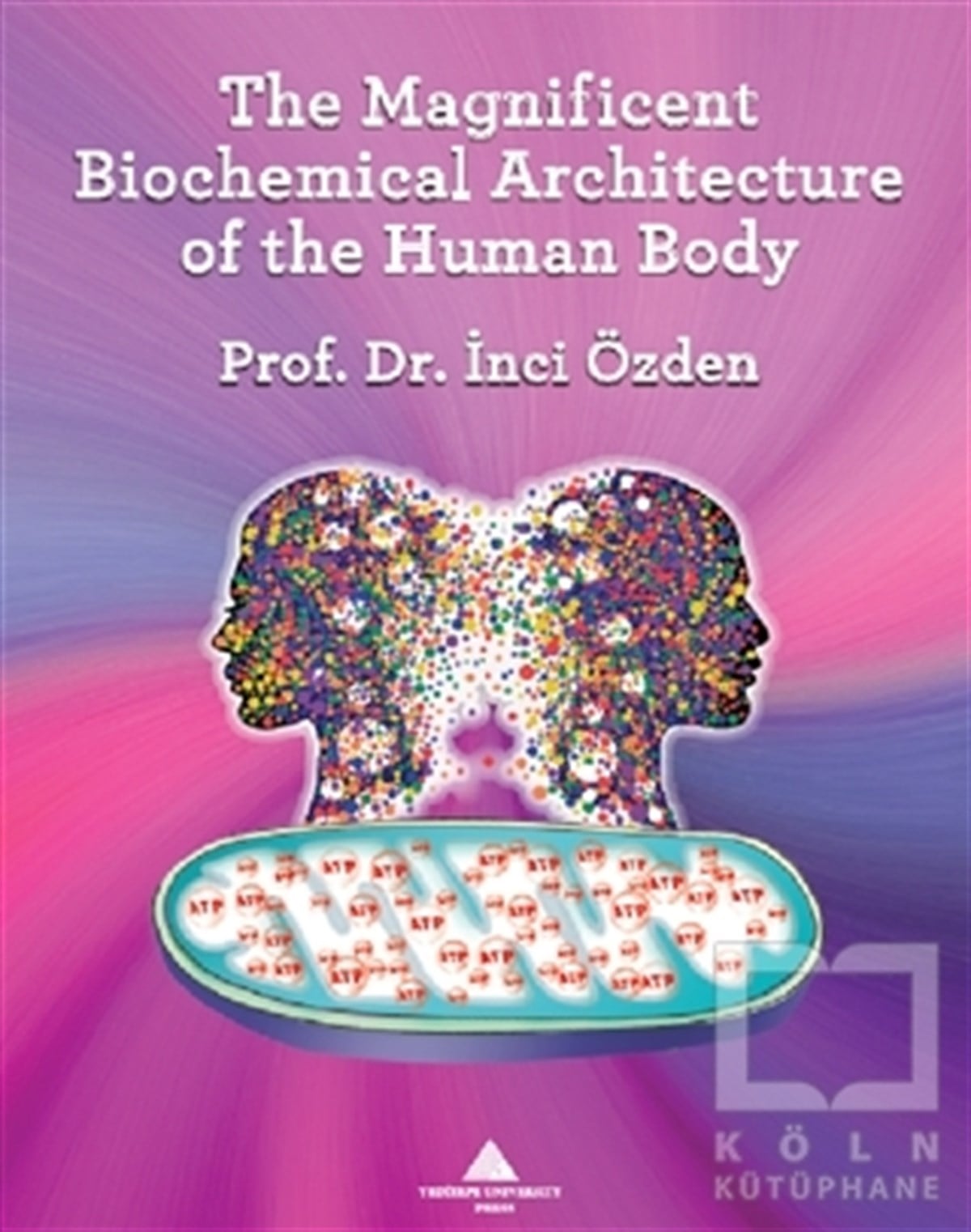 İnci ÖzdenDiğerThe Magnificent Biochemical Architecture of the Human Body