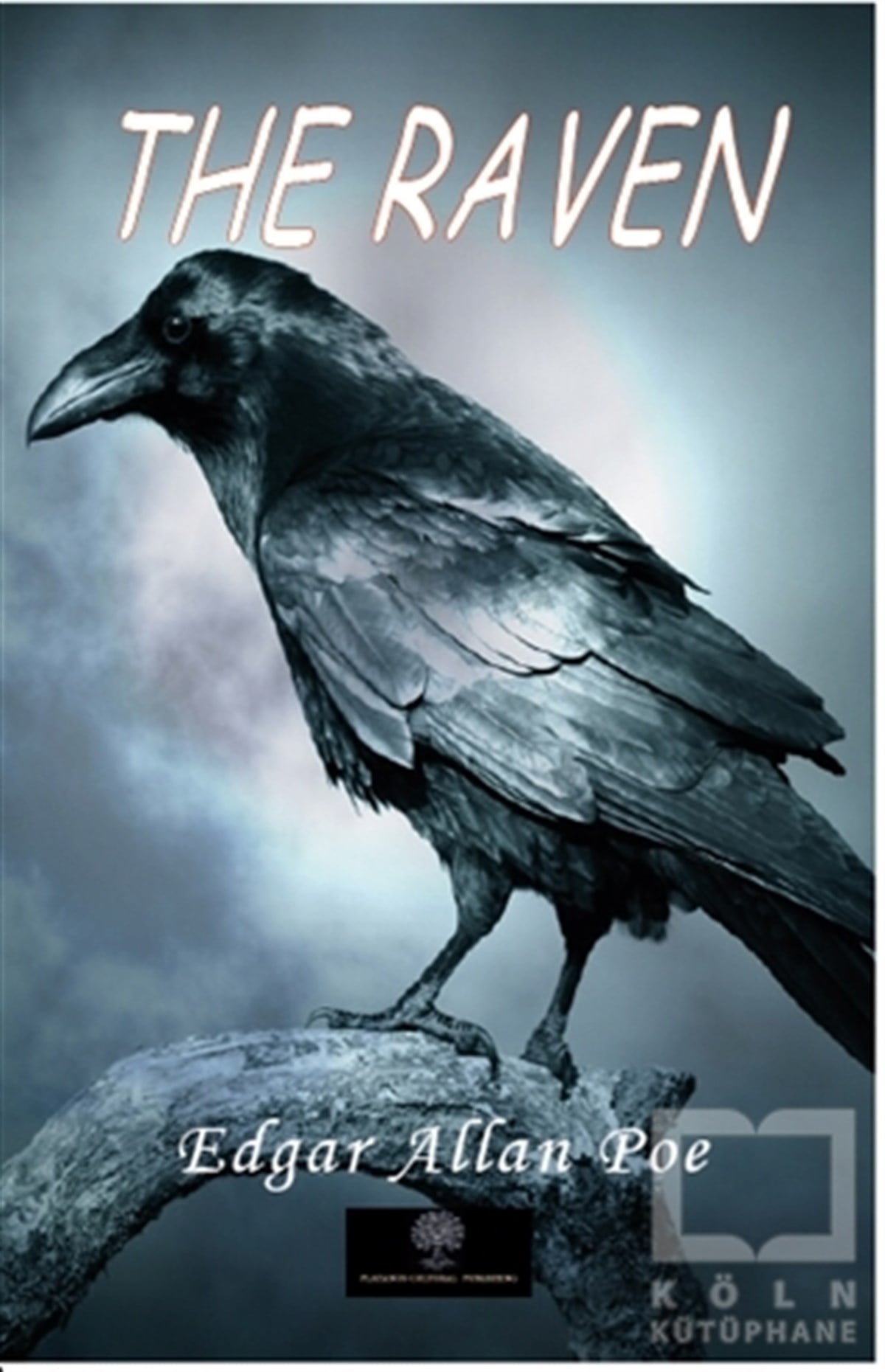 Edgar Allan PoeYabancı Dilde KitaplarThe Raven