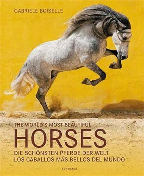 KolektifArtThe World's Most Beautiful Horses