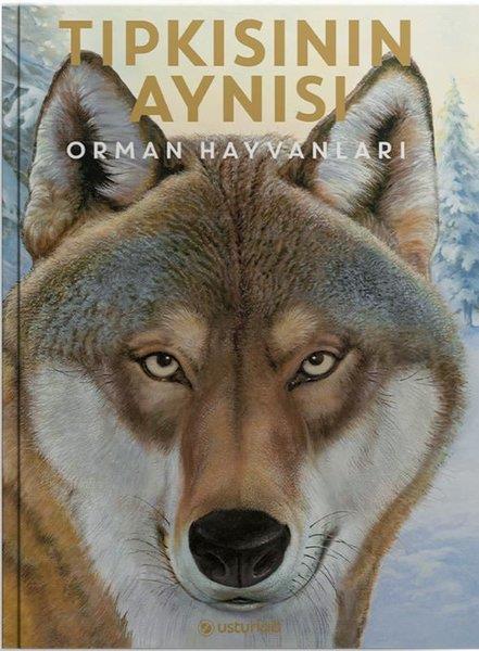 Holger HaagÇocuk Gençlik RomanlarıTıpkısının Aynısı - Orman Hayvanları
