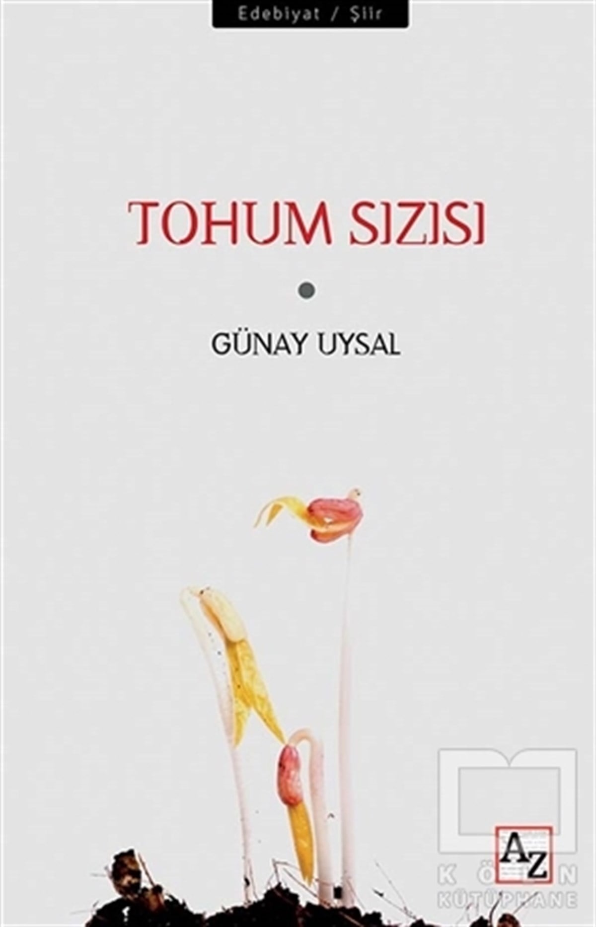 Günay UysalŞiirTohum Sızısı