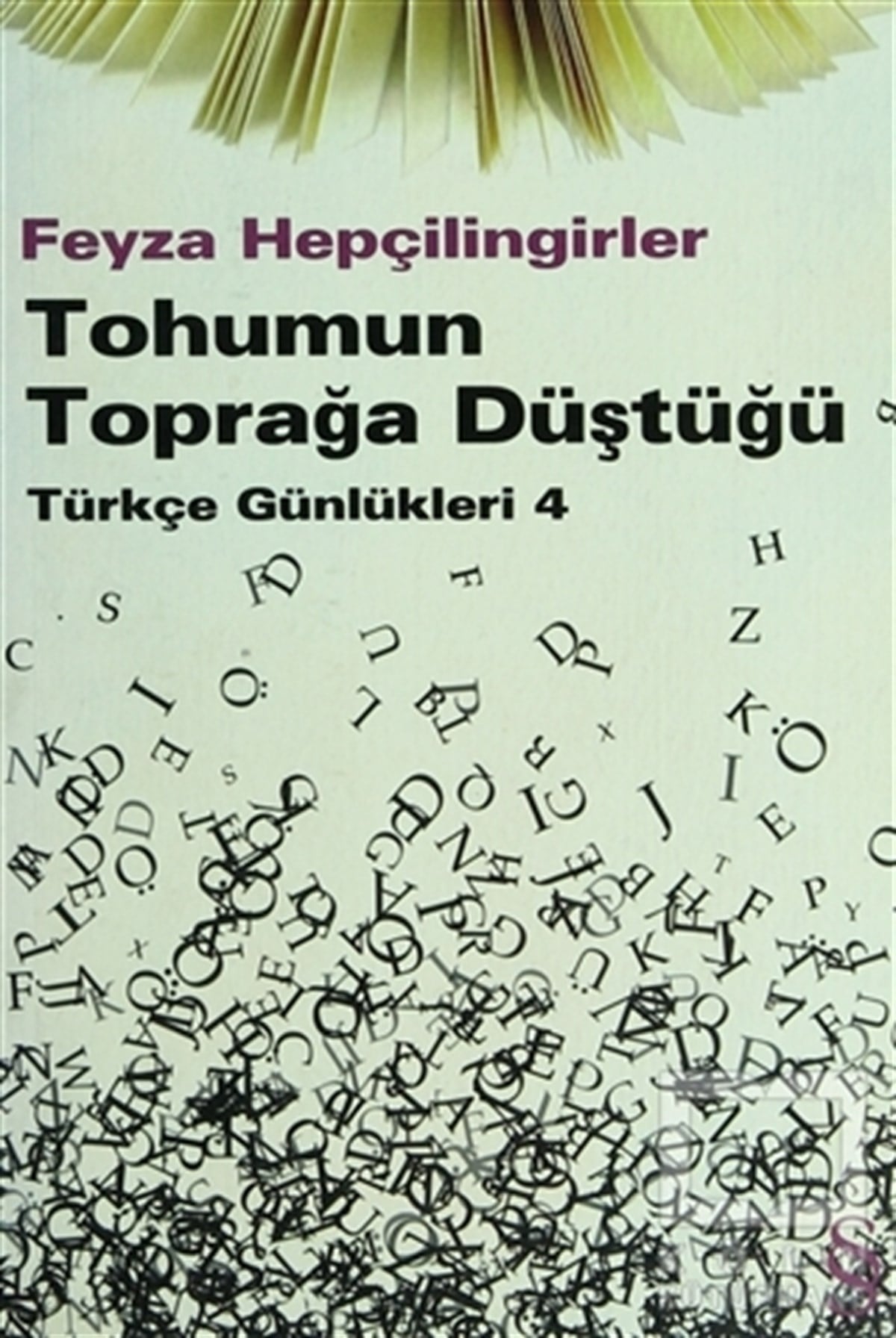 Feyza HepçilingirlerDenemeTohumun Toprağa Düştüğü