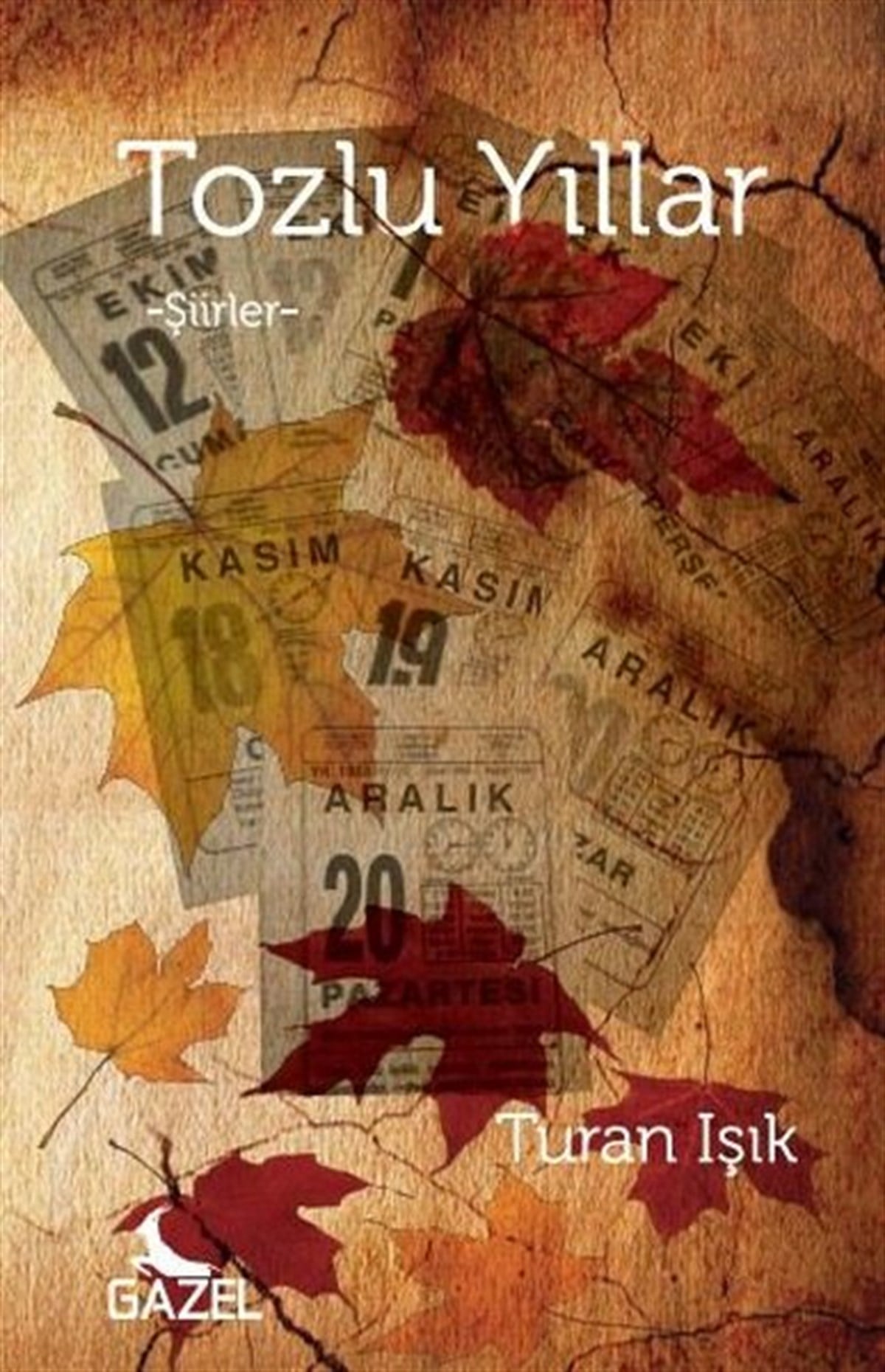 Turan IşıkTürk ŞiiriTozlu Yıllar
