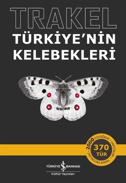 KolektifÇevre MühendisliğiTrakel - Türkiye'nin Kelebekleri
