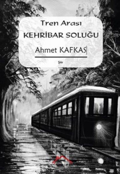 Ahmet KafkasTürk ŞiiriTren Arası Kehribar Soluğu