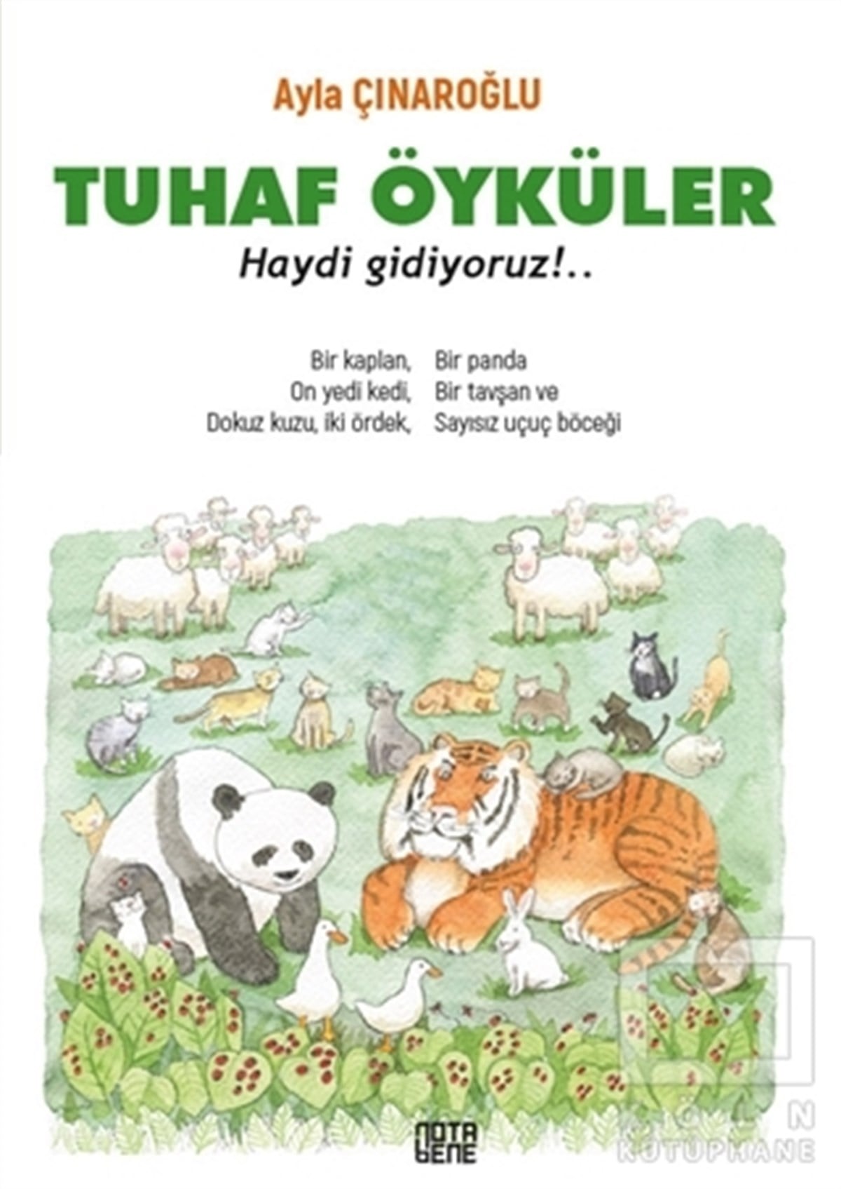 Ayla ÇınaroğluÇocuk RomanlarıTuhaf Öyküler