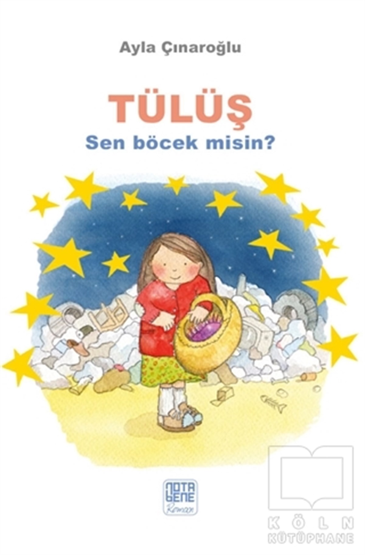 Ayla ÇınaroğluTürkçe RomanlarTülüş