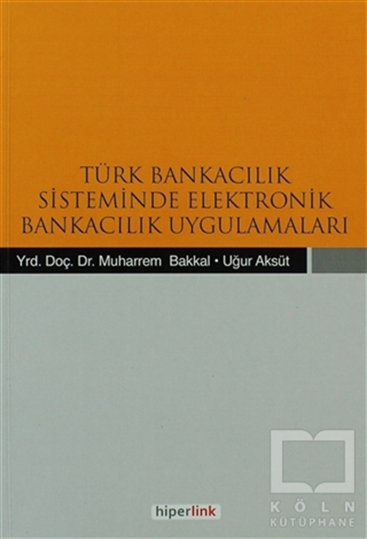 Muharrem BakkalBorsa - FinansTürk Bankacılık Sisteminde Elektronik Bankacılık Uygulamaları