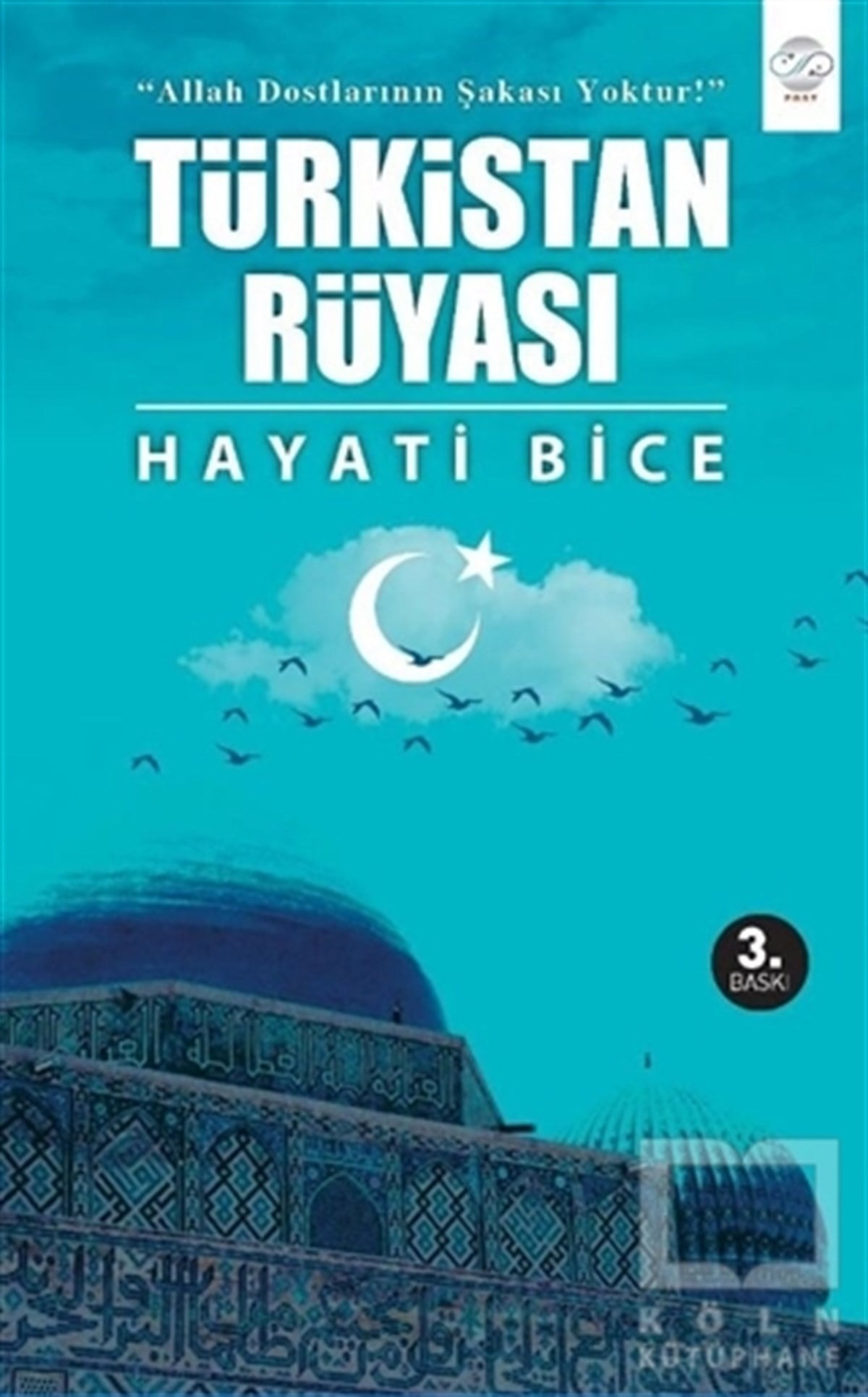 Hayati BiceRomanTürkistan Rüyası