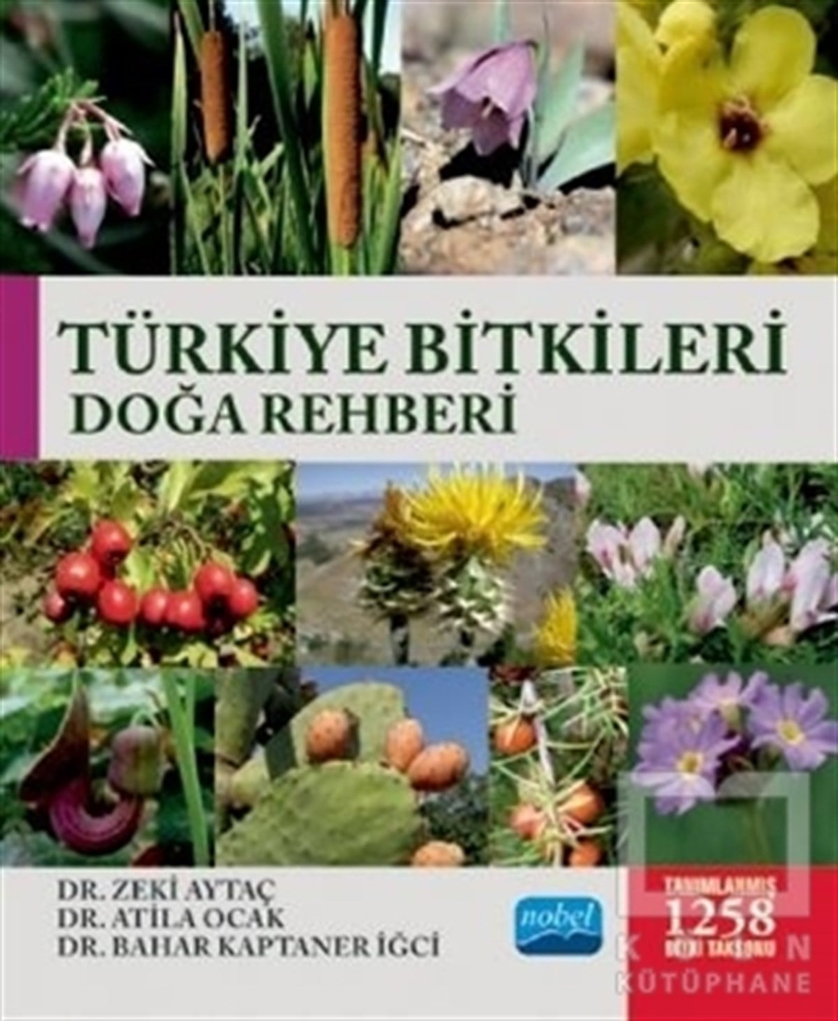 Zeki AytaçDiğerTürkiye Bitkileri Doğa Rehberi
