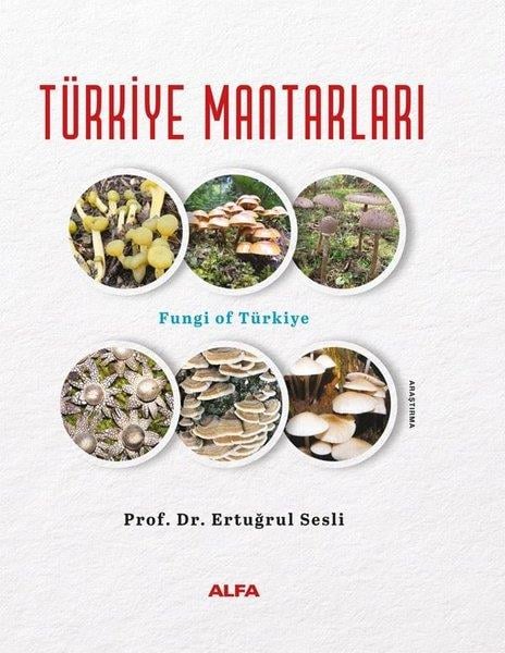 Ertuğrul SesliGastronomiTürkiye Mantarları - Fungi of Türkiye