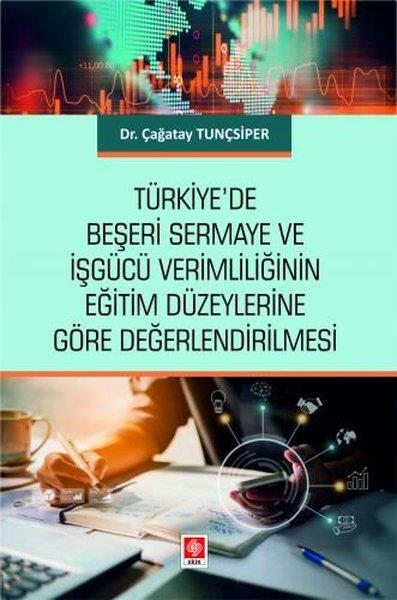 Çağatay TunçsiperDigerTürkiye'de Beşeri Sermaye ve İşgücü Verimliliğinin Eğitim Düzeylerine Göre Değerlendirilmesi