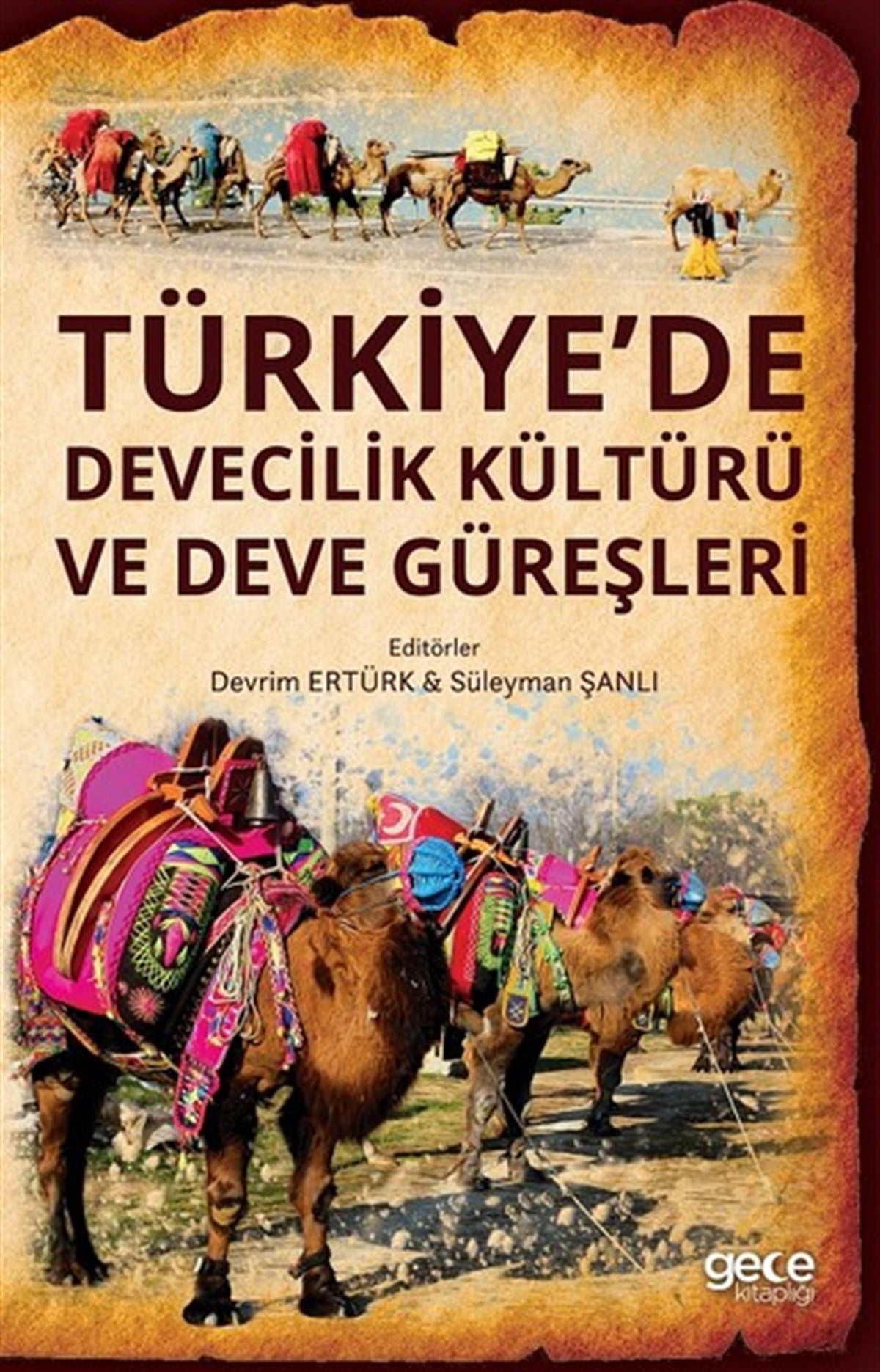 KolektifSosyoloji KitaplarıTürkiyede Devecilik Kültürü Ve Dev