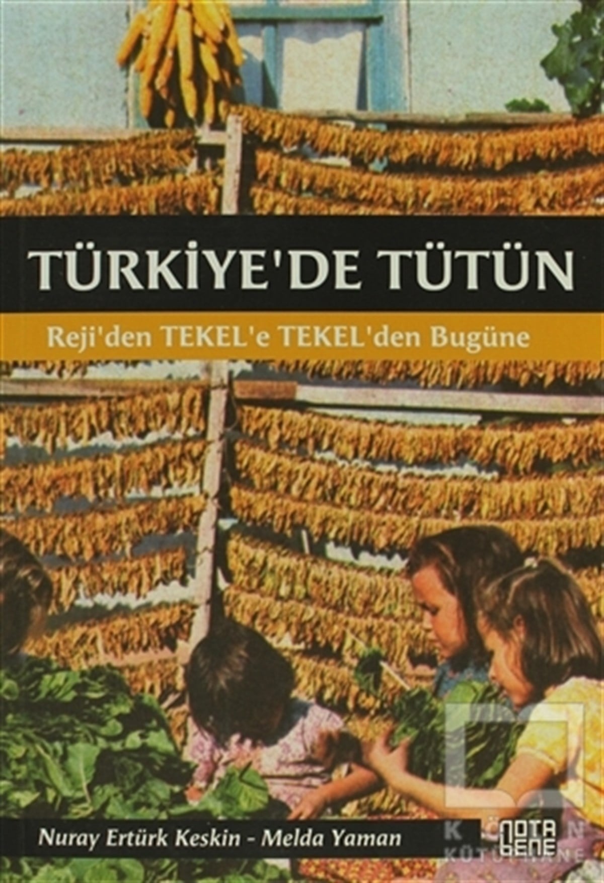 Nuray Ertürk KeskinTürkiye EkonomisiTürkiye'de Tütün