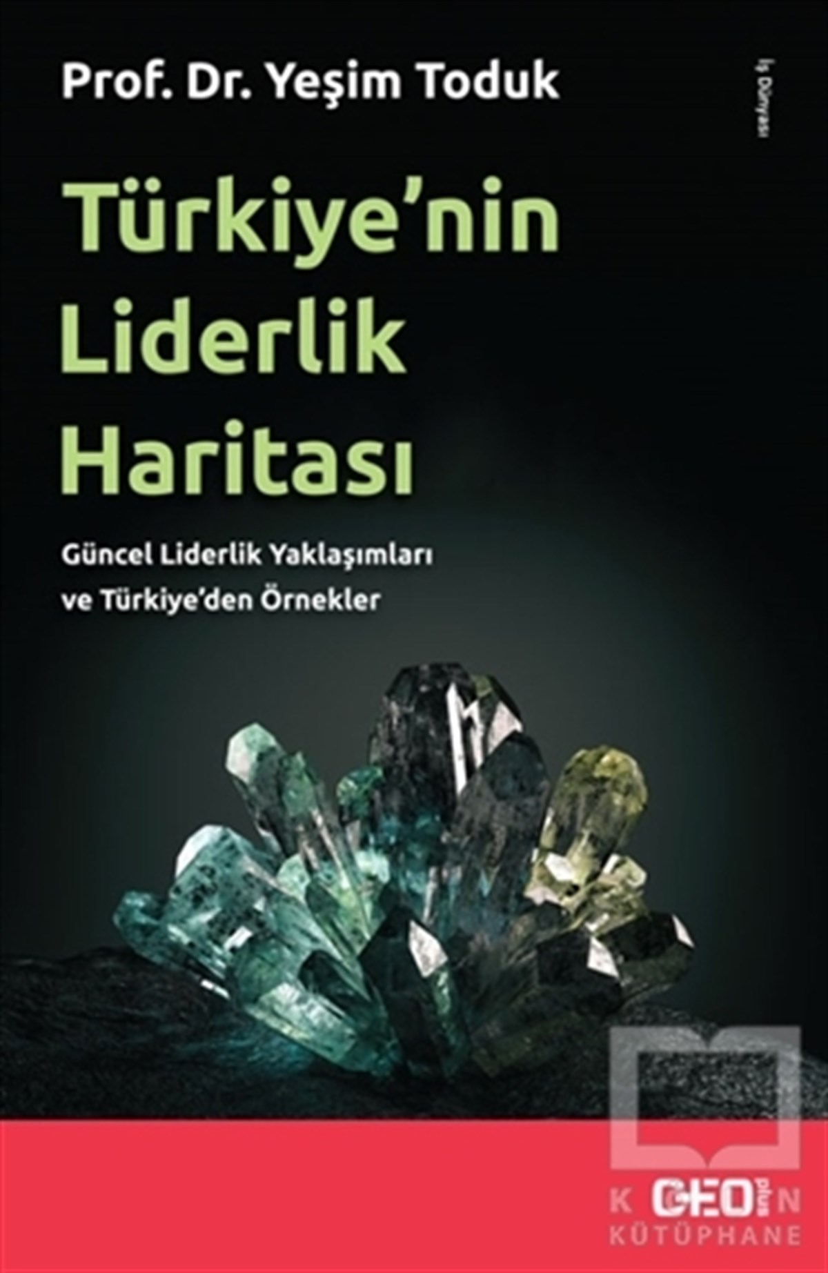 Yeşim TodukDiğerTürkiye’nin Liderlik Haritası