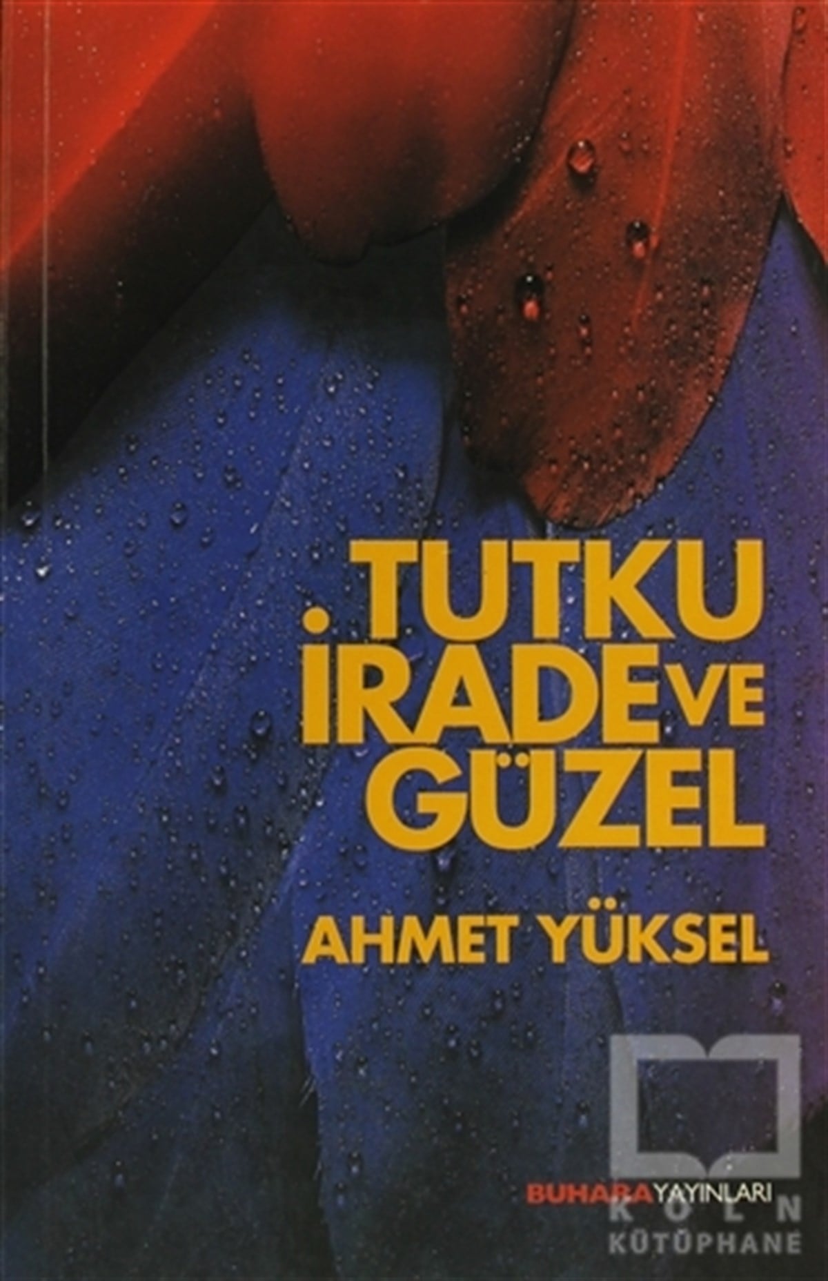 Ahmet YüksekGenel KonularTurku, İrade ve Güzel