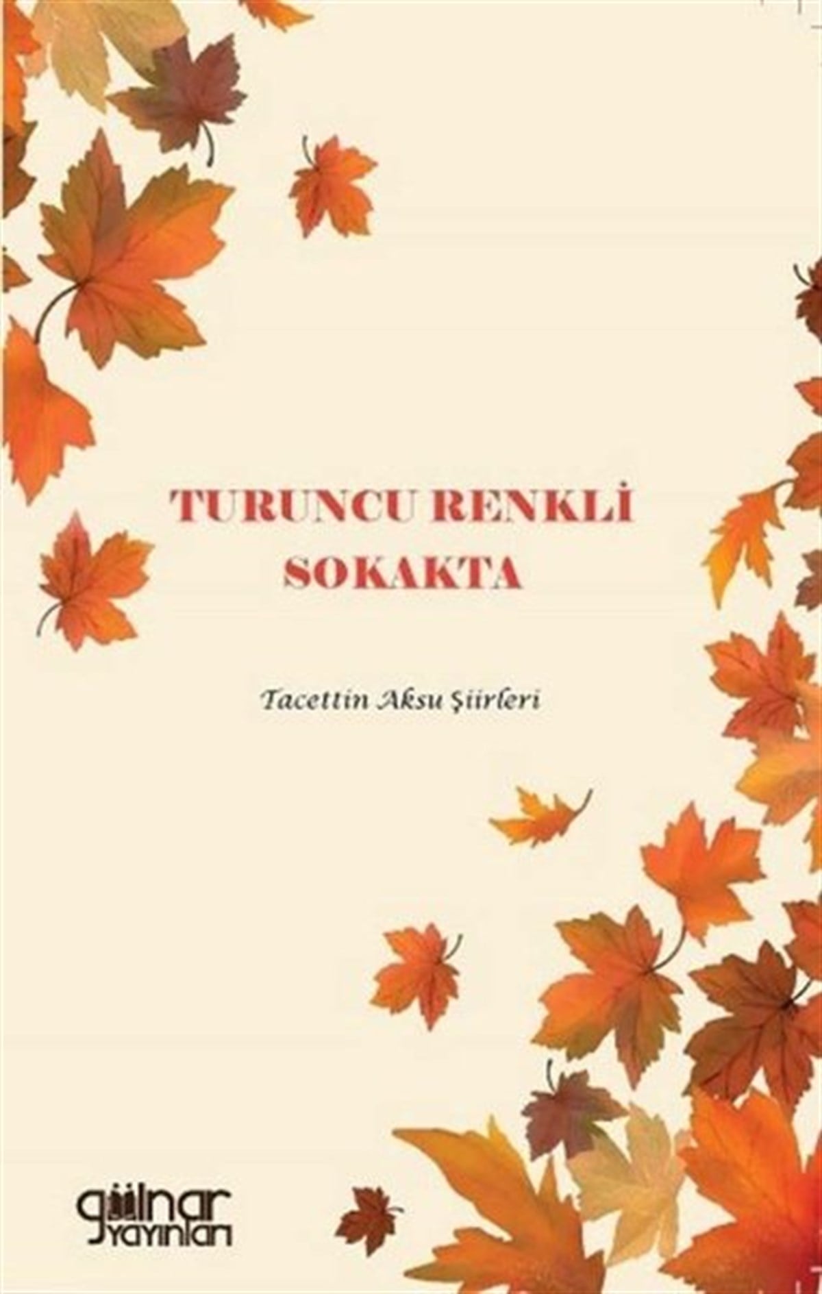 Tacettin AksuTürk ŞiiriTuruncu Renkli Sokakta