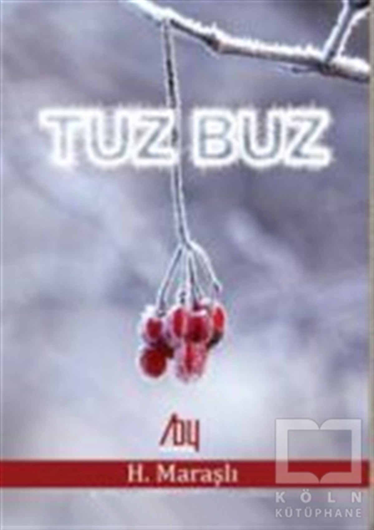 H. MaraşlıŞiirTuz Buz