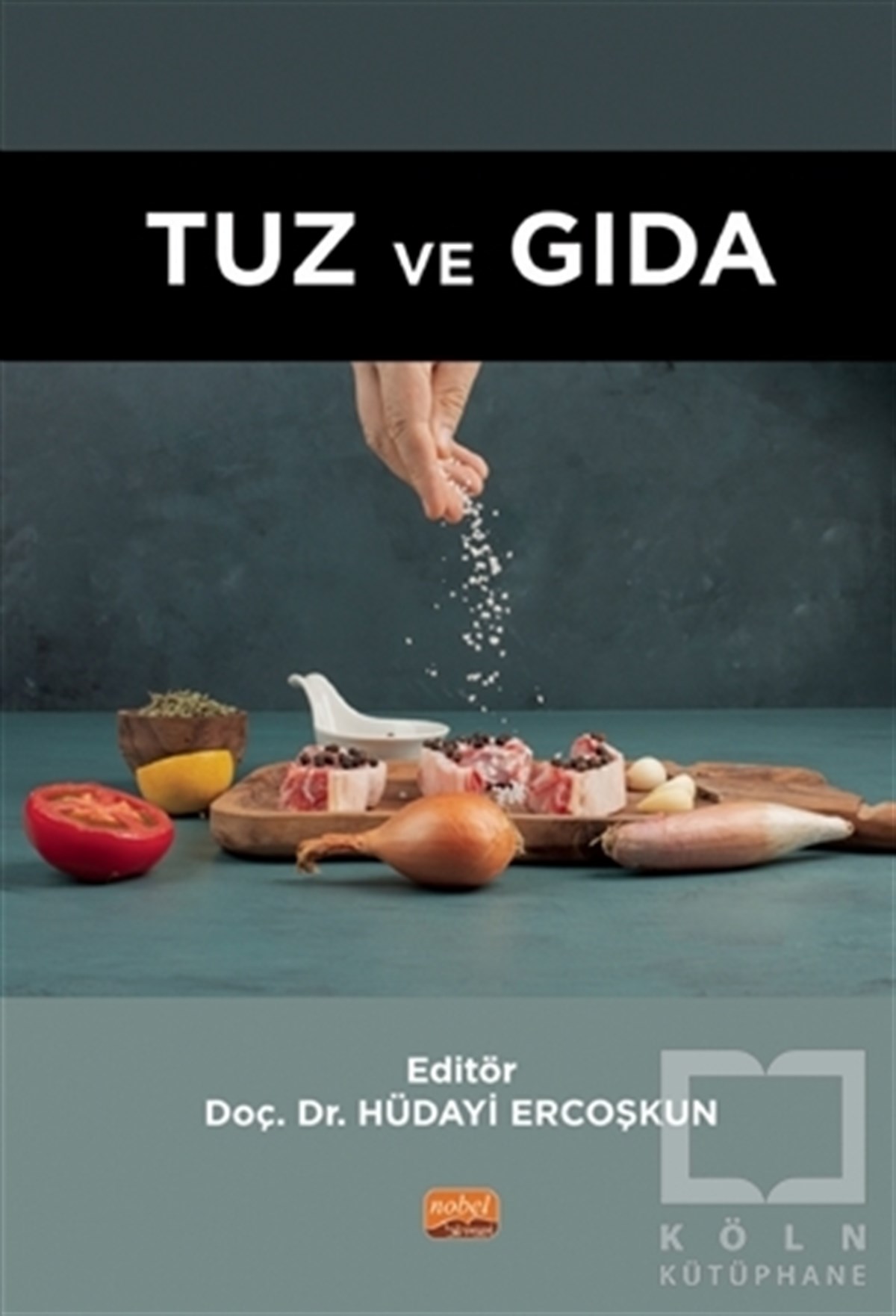 Hüdayi ErcoşkunDiğerTuz ve Gıda