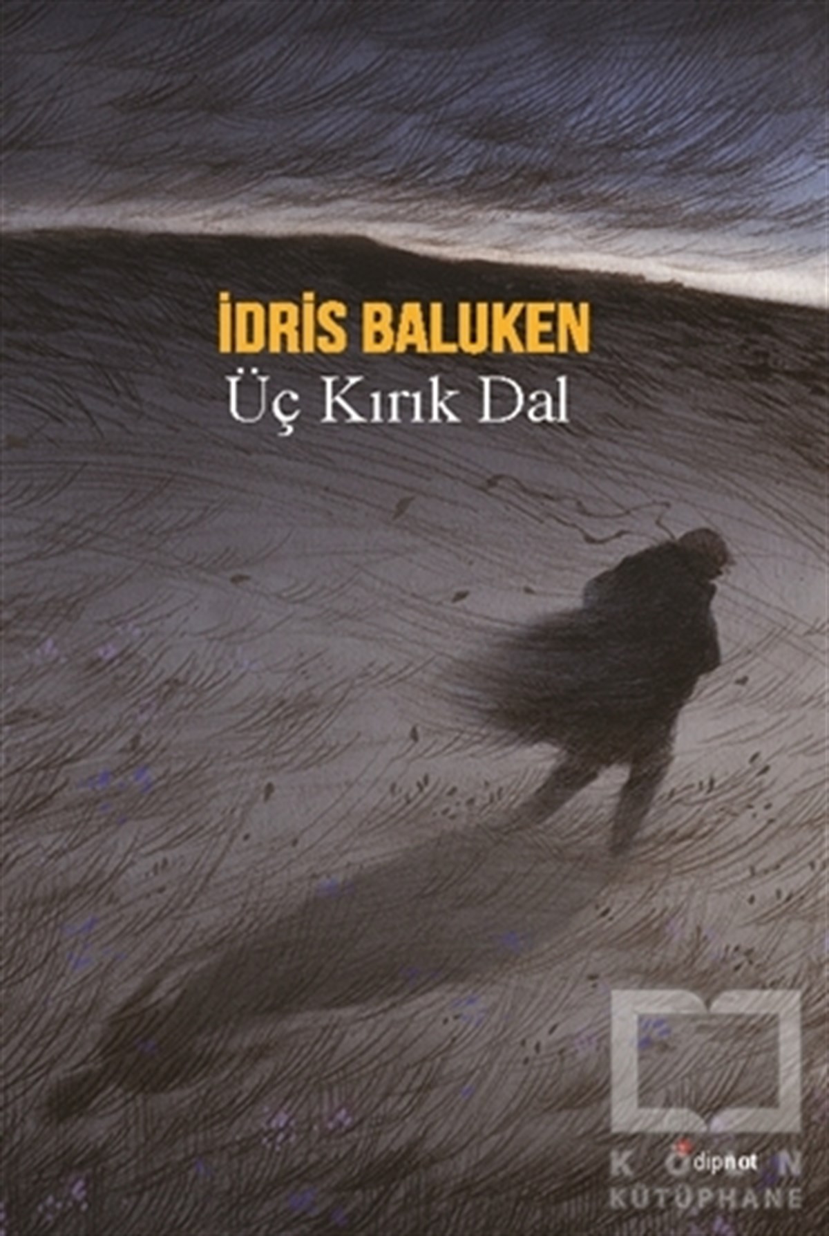 İdris BalukenRomanÜç Kırık Dal