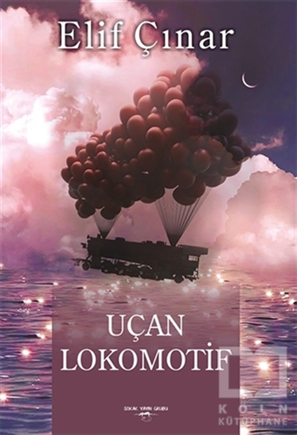 Elif ÇınarTürkçe Şiir KitaplarıUçan Lokomotif