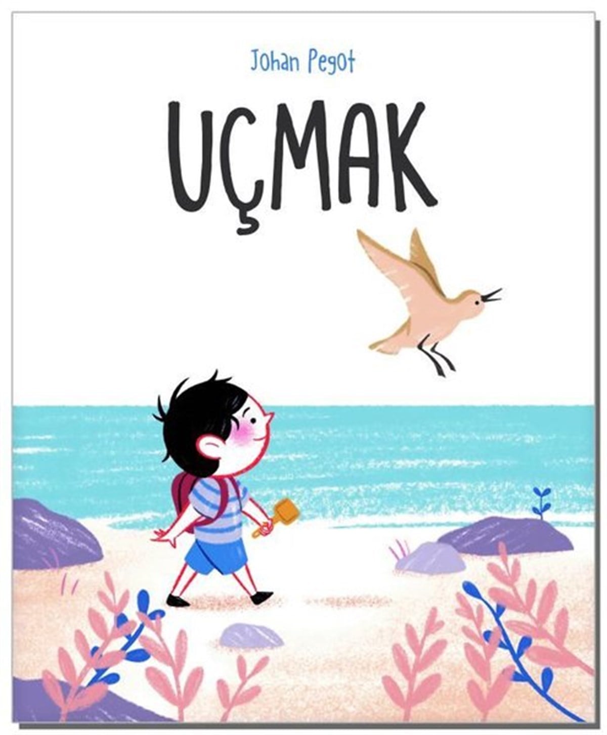 Johan PegotÇocuk Gençlik RomanlarıUçmak