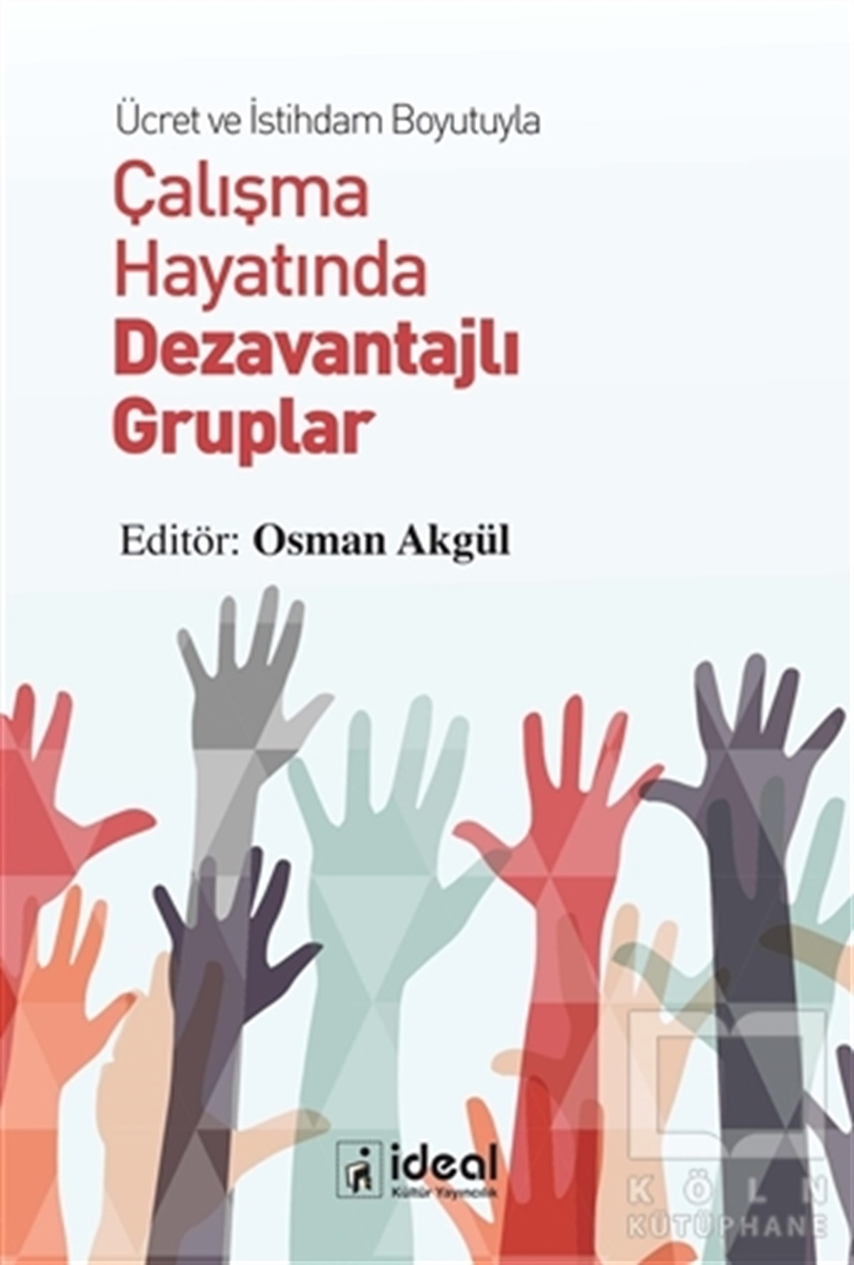 Osman Akgülİş Dünyası KitaplarıÜcret ve İstihdam Boyutuyla Çalışma Hayatında Dezavantajlı Gruplar