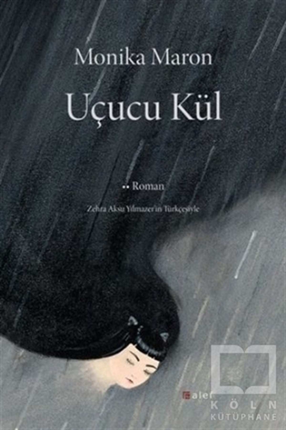 Monika MaronRomanUçucu Kül