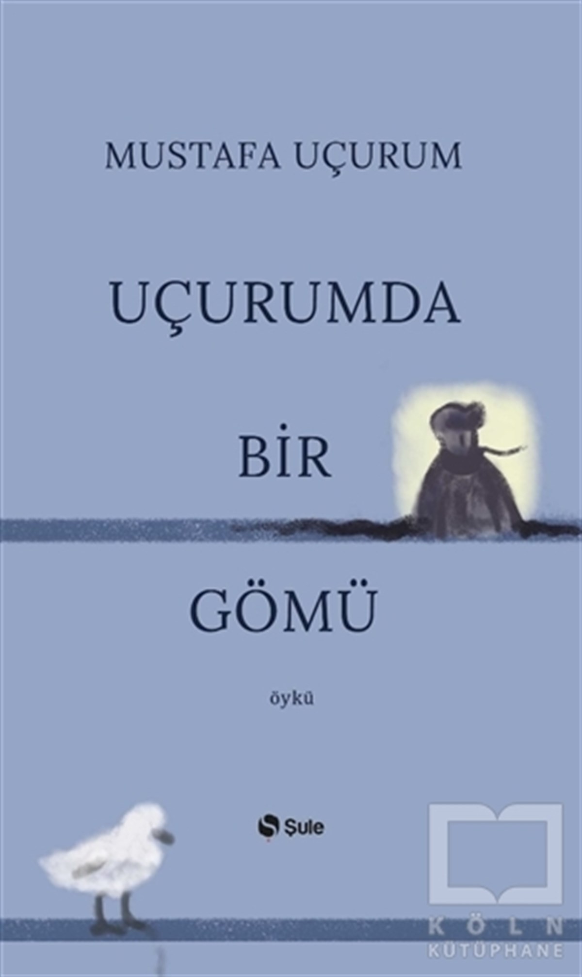 Mustafa UçurumHikaye (Öykü) KitaplarıUçurumda Bir Gömü