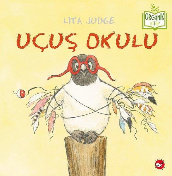 Lita JudgeEgitim Etkinlik KitaplariUçuş Okulu