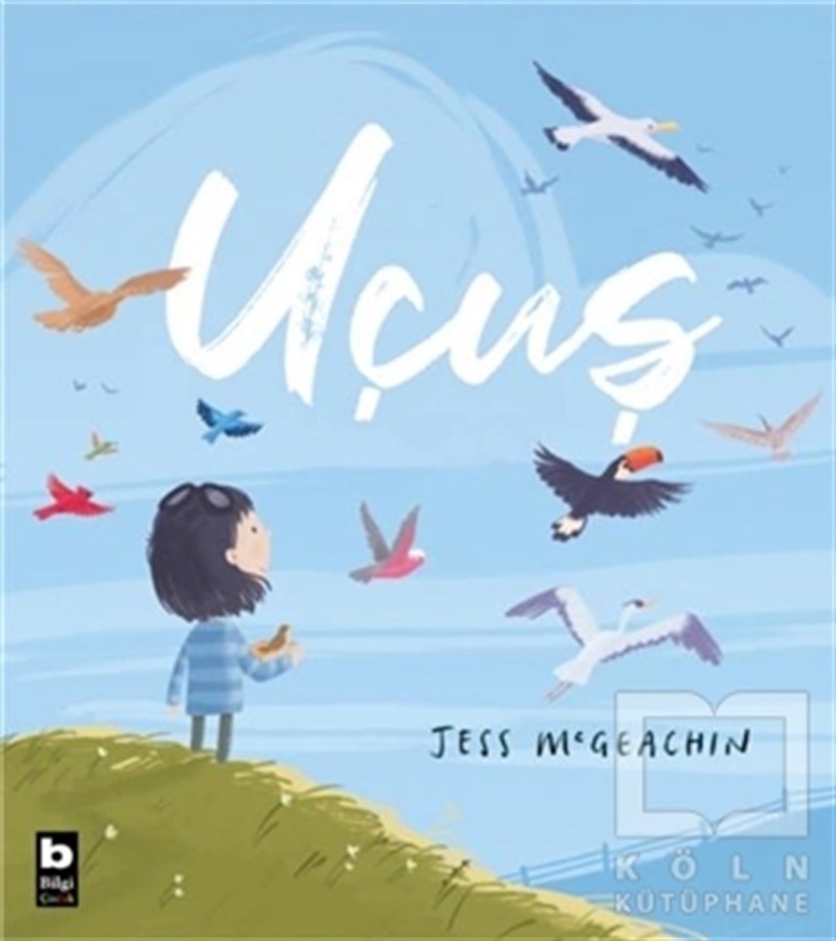 Jess McGeachinÇocuk Hikaye KitaplarıUçuş