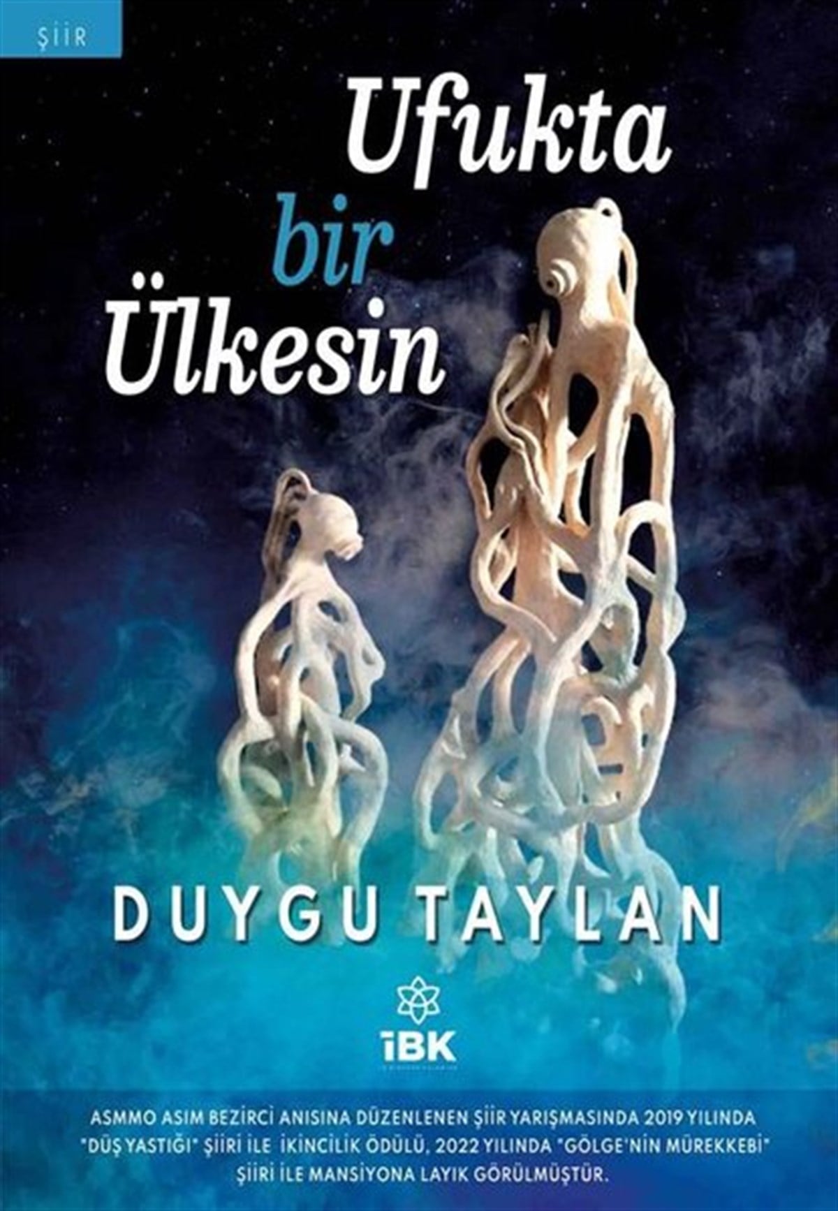 Duygu TaylanTürk ŞiiriUfukta Bir Ülkesin