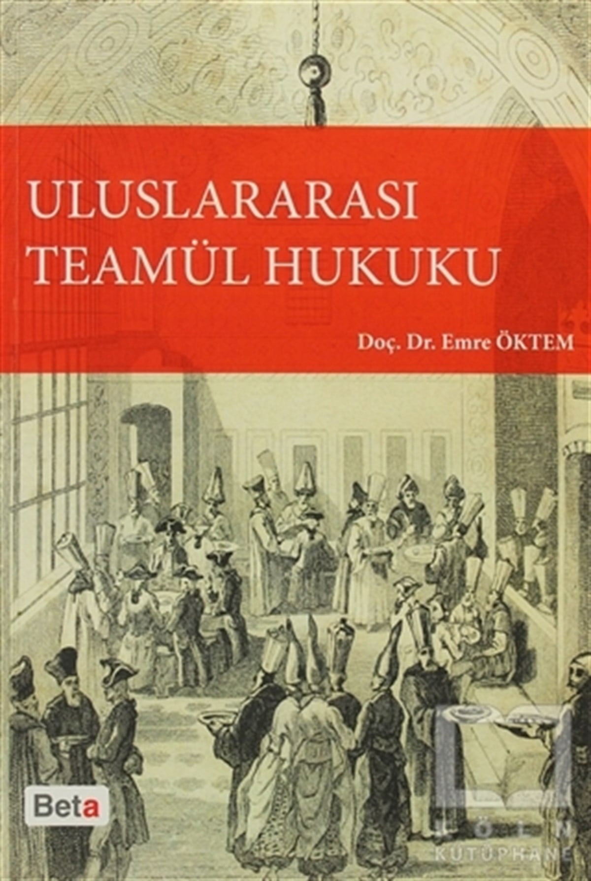 Emre ÖktemKanun ve Uygulama KitaplarıUluslararası Teamül Hukuku