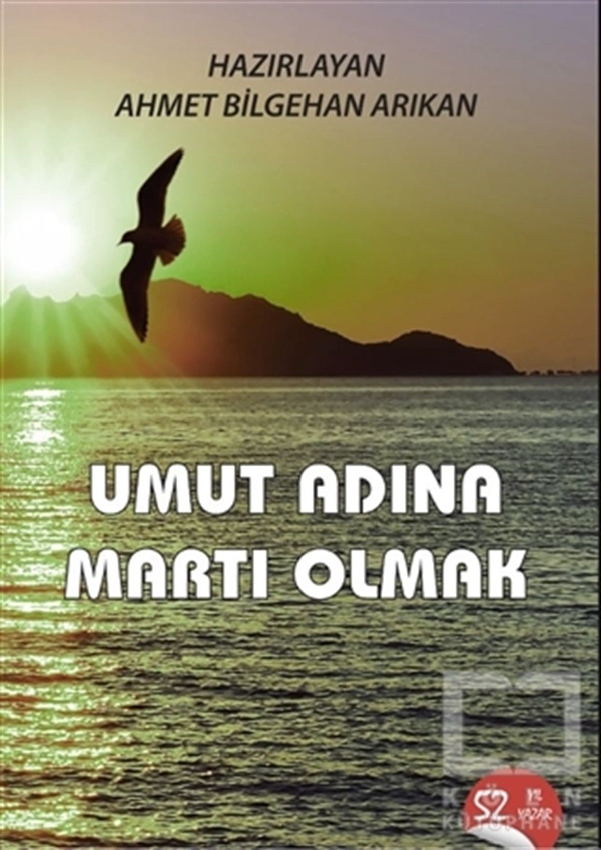 Ahmet Bilgehan ArıkanHikaye (Öykü) KitaplarıUmut Adına Martı Olmak
