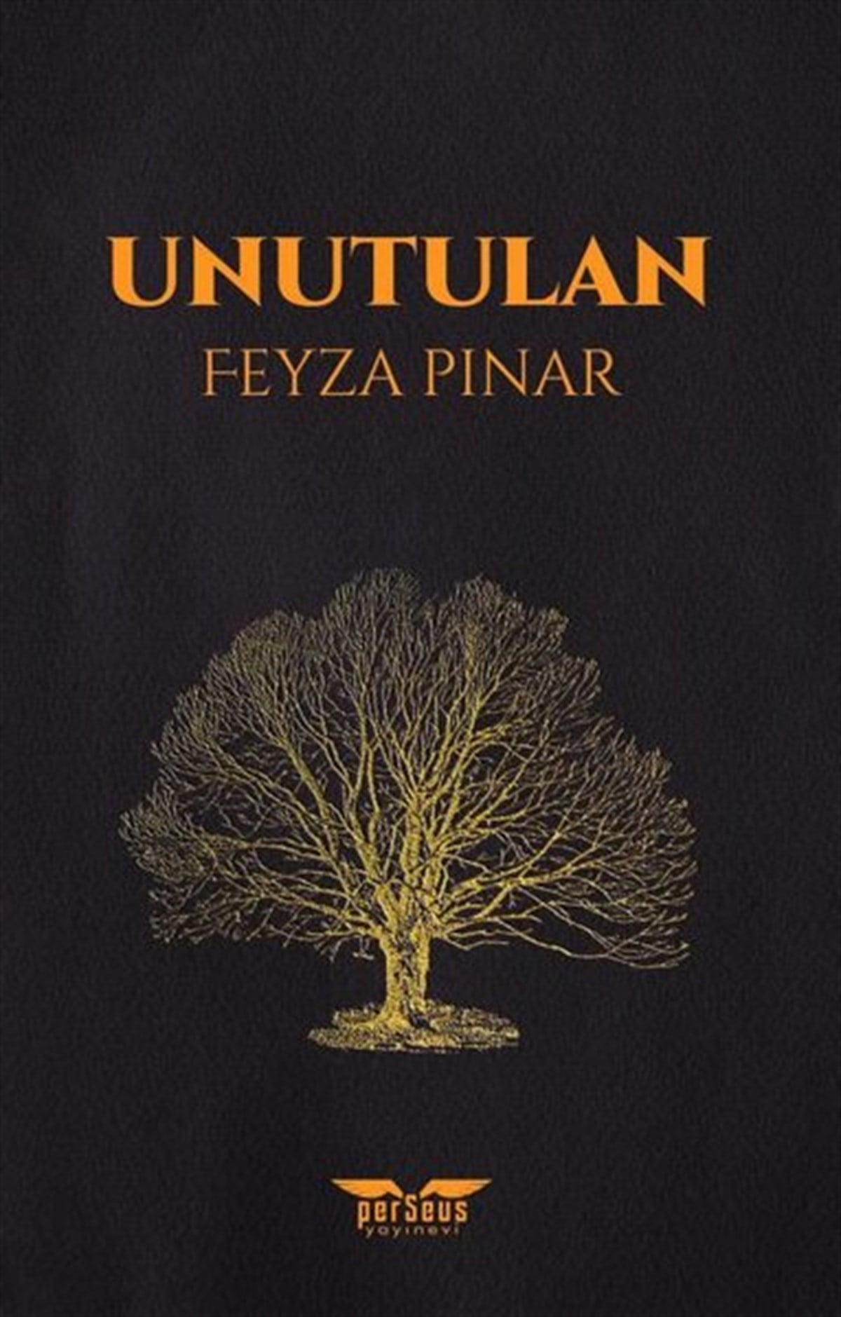 Feyza PınarTürkiye RomanUnutulan