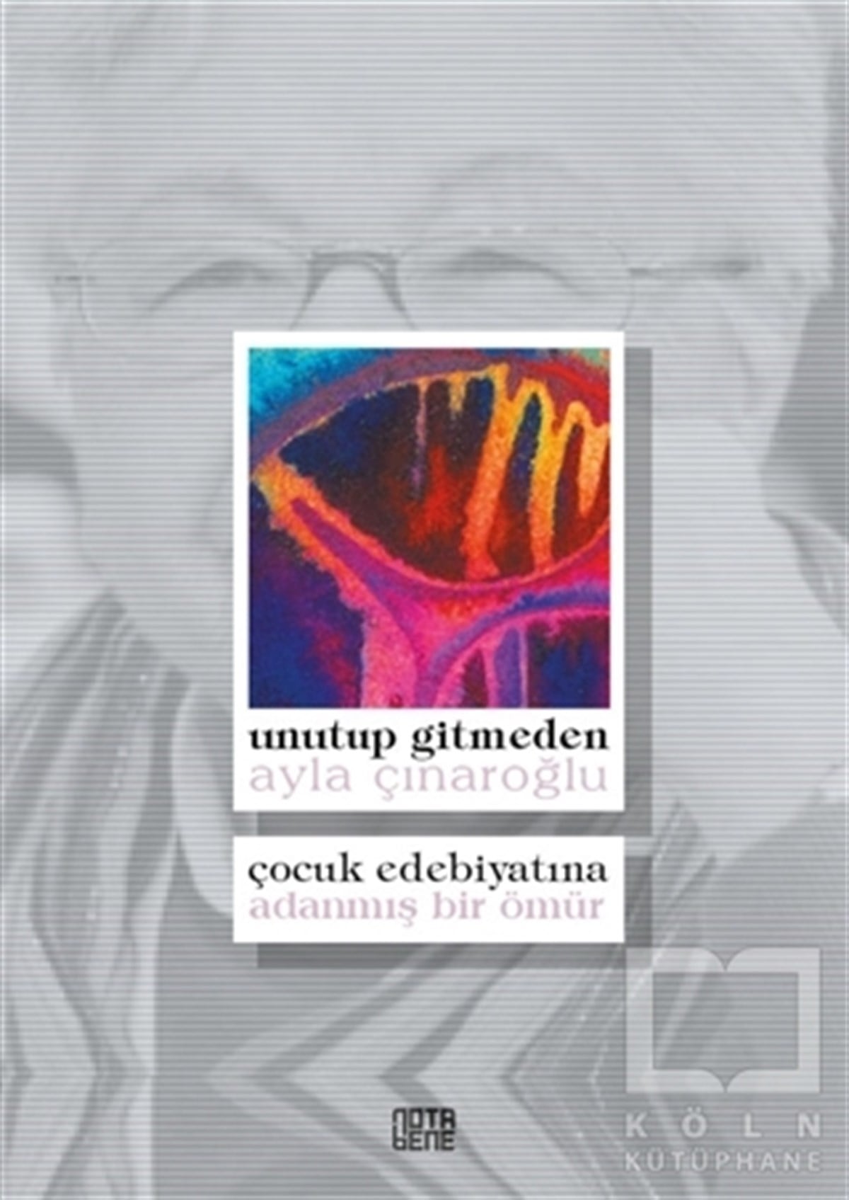 Ayla ÇınaroğluBiyografi & Otobiyografi KitaplarıUnutup Gitmeden