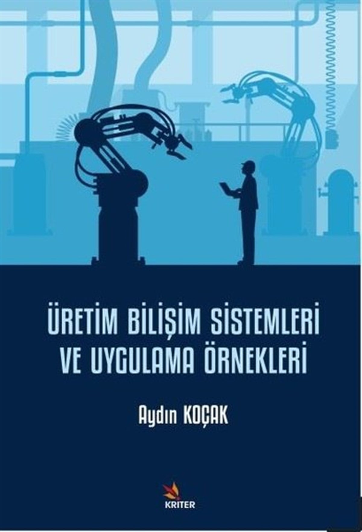 Aydın KoçakBilgisayar KitaplarıÜretim Bilişim Sistemleri ve Uygulama Örnekleri