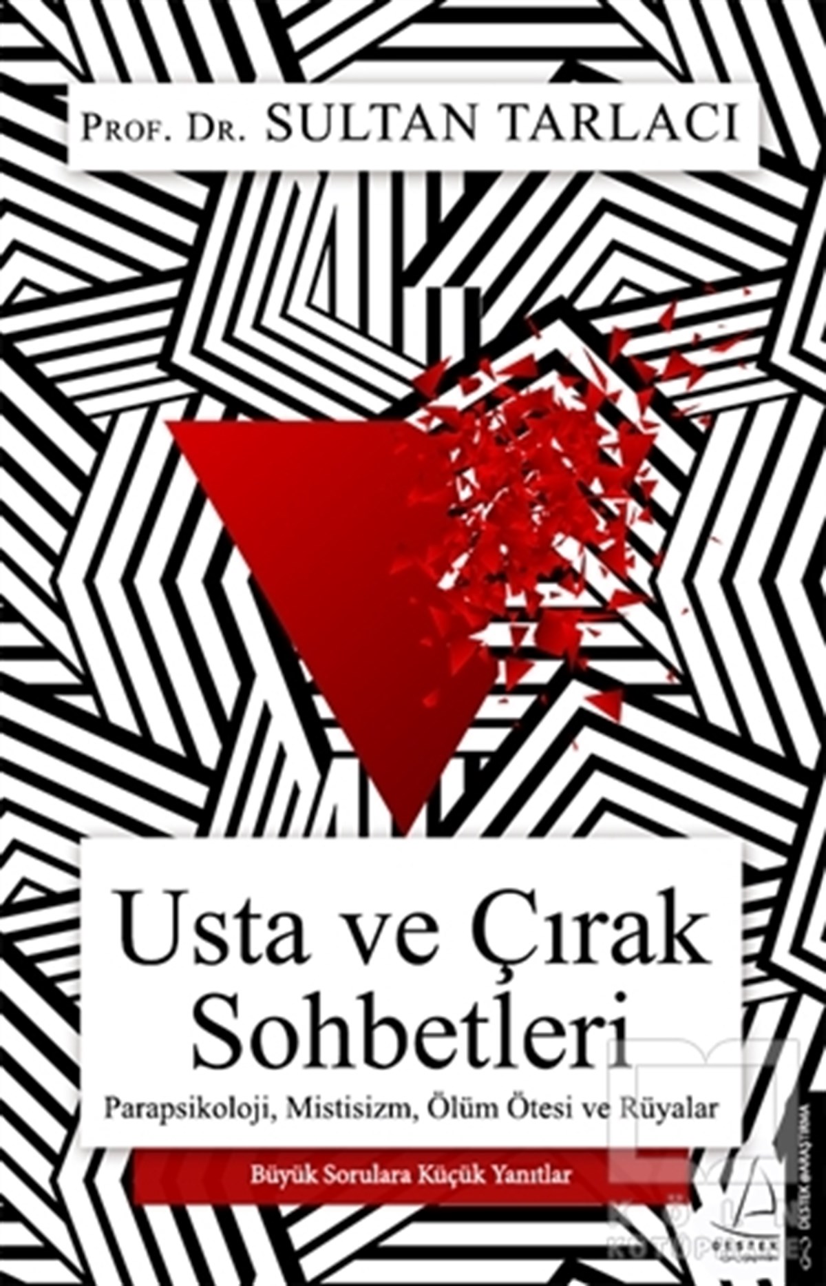 Sultan TarlacıDiğerUsta ve Çırak Sohbetleri
