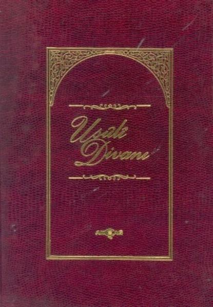 Mustafa İsenEleştiri & Kuram & İnceleme KitaplarıUsuli Divanı (Kuşe)