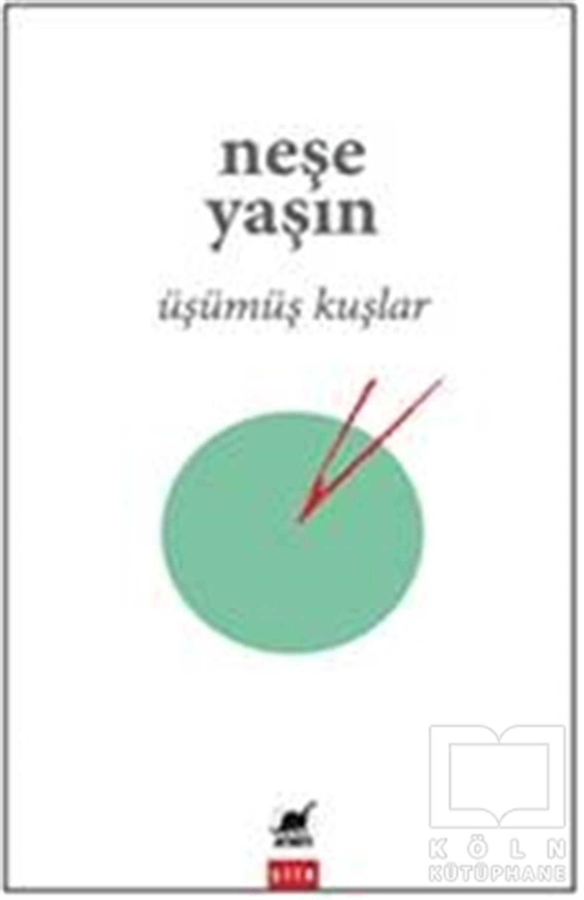 Neşe YaşınÖyküÜşümüş Kuşlar